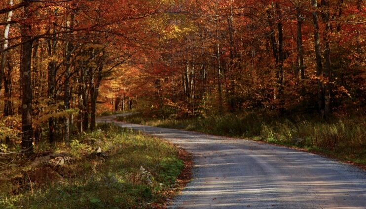 My Faithful Reflections Logo